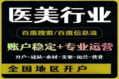 Sem优化公司案例：精准广告投放策略解析